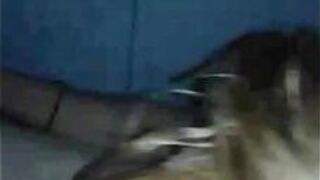 Вики бьет часть первая - порно видео